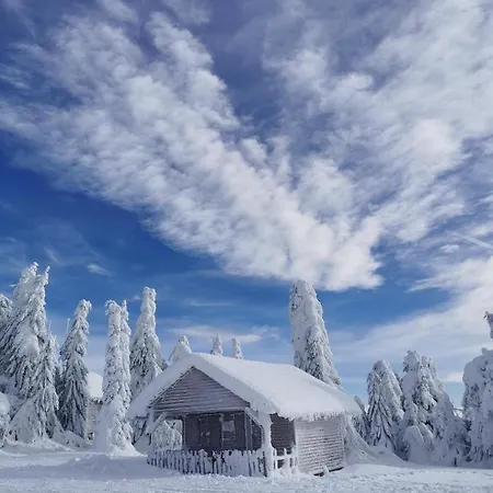 Planinski Vrhovi Jelac Kopaonik