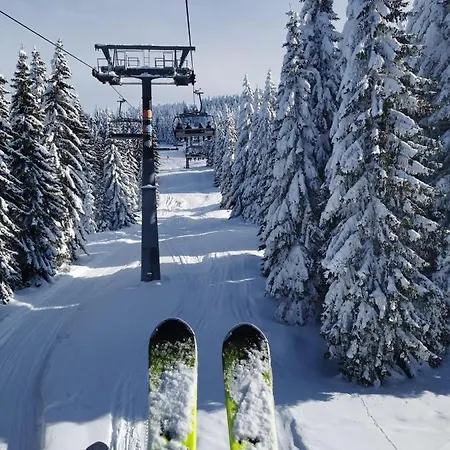 Planinski Vrhovi Jelac * Kopaonik