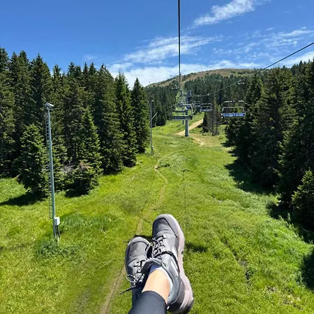 Daire Planinski Vrhovi Jelac Kopaonik